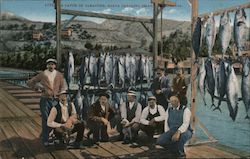 A Catch of Albacore Santa Catalina Island, CA Postcard Postcard Postcard