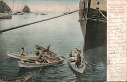 Diving For Coins Thrown From Cabrillo, Avalon Postcard