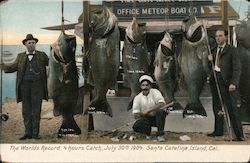 The Worlds Record 4 Hours Catch, July 30th 1904 Postcard