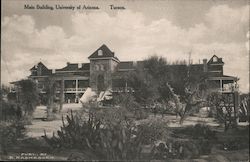 Main Building, University of Arizona Postcard