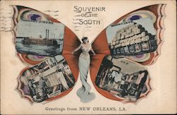 Greetings from New Orleans Butterfly Multi-View Postcard