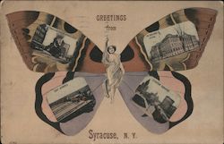 Butterfly Multi-View Postcard