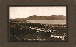 The Presidio, San Francisco Postcard