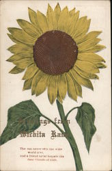 Sunflower - Greetings from Wichita Postcard