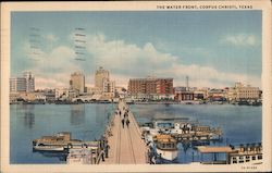 The Water Front Corpus Christi, TX Postcard Postcard Postcard