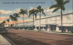 Fashionable Shops Along Lincoln Road Postcard