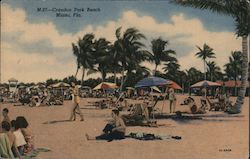 Crandon Park Beach Miami, FL Postcard Postcard Postcard