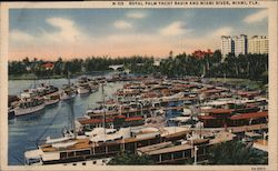 Royal Palm Yacht Basin and Miami River Postcard