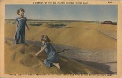 A Portion of the 206 Million Bushels Wheat Crop. Postcard