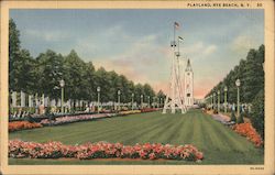 Playland Postcard