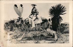 Big Arizona Jack Rabbit Exaggeration Postcard Postcard Postcard