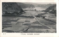 Typical Okinawa Scenery Postcard