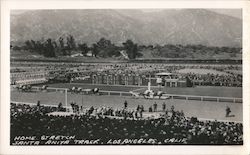 Home Stretch, Santa Anita Track Los Angeles, CA Postcard Postcard Postcard