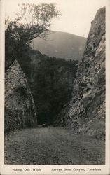 Camp Oak Wilde, Arroyo Seco Canyon Postcard