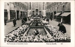 The Promenade at Rockefeller Center Postcard