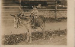 Pig-Tailed Girl sitting on Burro Postcard