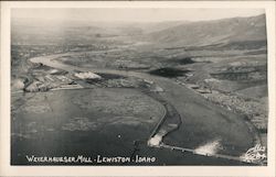 Weyerhaeuser Lumber Mill Postcard