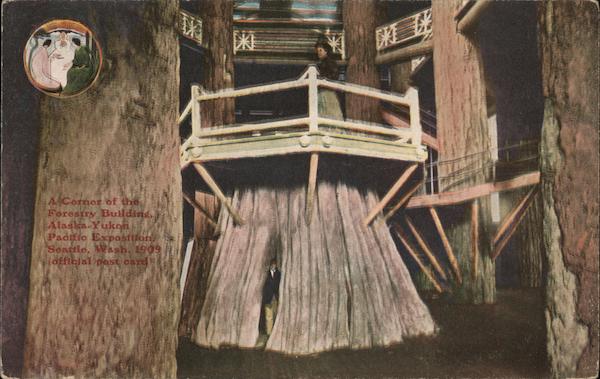 A Corner Of The Forestry Building Seattle Washington