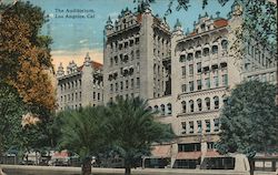 The Auditorium Postcard