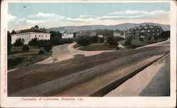 University of California Postcard