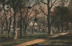 North Campus, University of Missouri Postcard