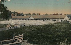 Cattle Barns, State Farm, University of Missouri Postcard