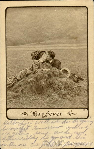 Hay Fever Romance & Love