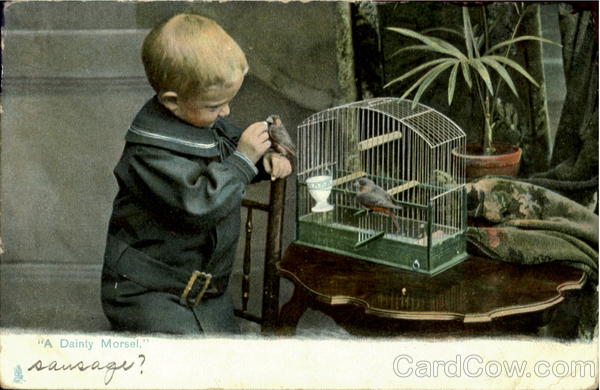 A Dainty Morsel Birds