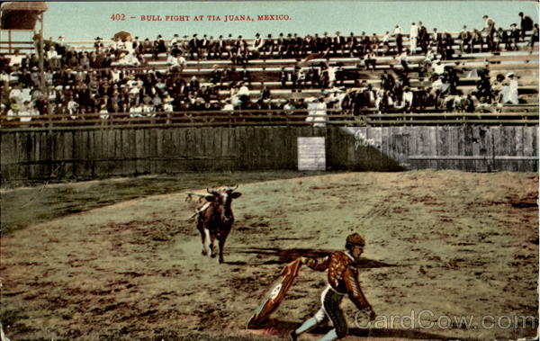 Bull Fight At Tia Juana Mexico