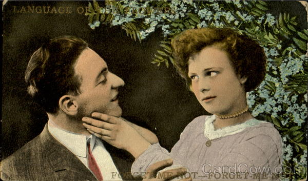 Forget Me Not - Forget Me Not Romance & Love