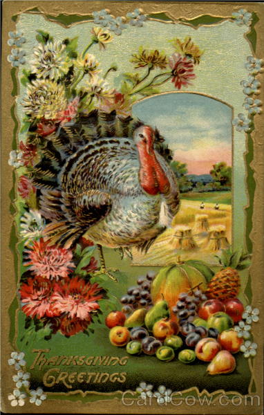 Thanksgiving Greetings Turkeys