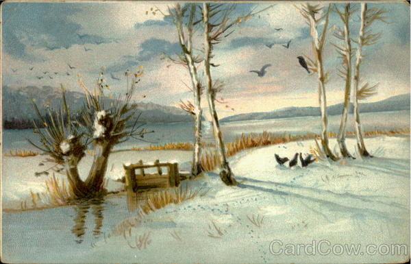 Winter Scene Scenic