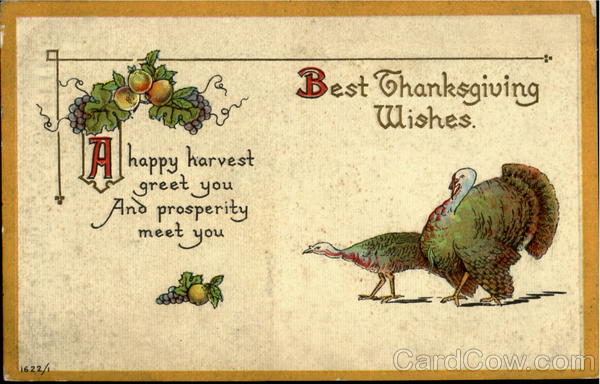 Best Thanksgiving Wishes Turkeys