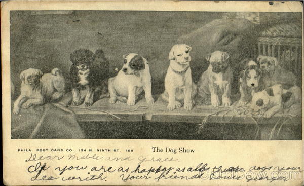 The Dog Show Dogs