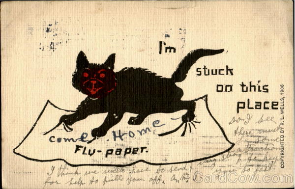 I'M Stuck On This Place Cats