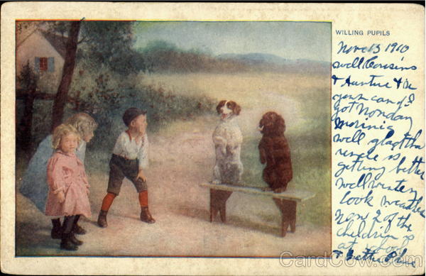 Willing Pupils Dogs