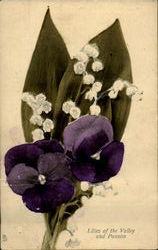 Lilies Of The Valley An Pansies Postcard
