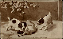 Playful Puppies Postcard