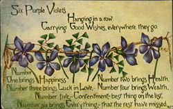 Six Purple Violets Hanging In A Row Postcard