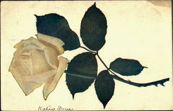 Stock #62397 Thumbnail