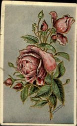 Roses Postcard