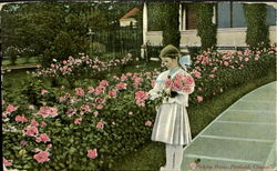 Picking Roses Postcard