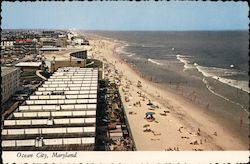 Beach Scene Ocean City Maryland