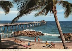 Glamorous Florida Deerfield Beach, FL E. Ludwig Postcard Postcard Postcard