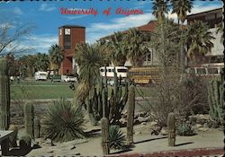 University of Arizona Tucson Mac Miller Postcard Postcard Postcard