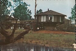 Tree Houses of Hilton Head Sea Pines Plantation Postcard