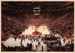 Joe Louis Stadium Postcard