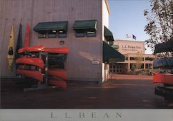 Canoe Display Outside L.L. Bean Postcard