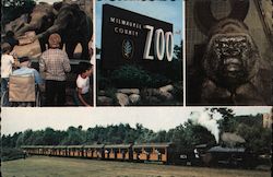 Milwaukee County Zoological Park Postcard