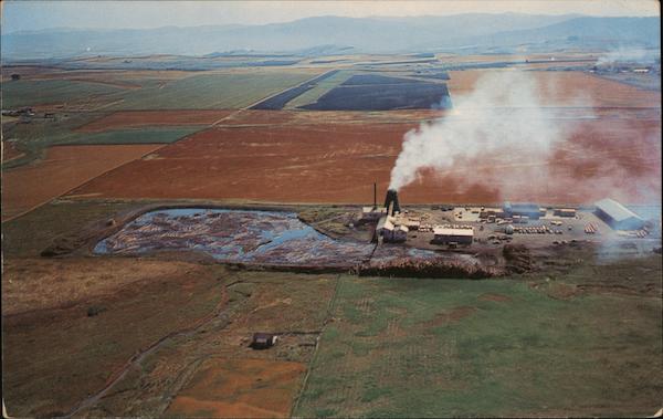 Prairie Lumber Company Grangeville Idaho